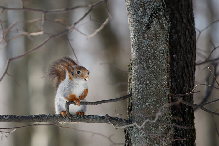 Дети на катке, бабушки – на качелях: в Тульскую область пришла календарная весна