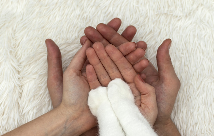 4% тульских молодоженов признались, что не хотят иметь детей