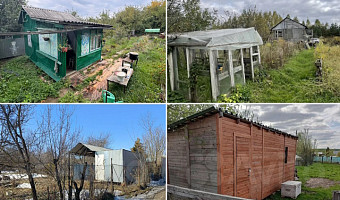 Дача за копейки: почему зумеры скупают старые участки и что можно купить в Туле за полмиллиона?