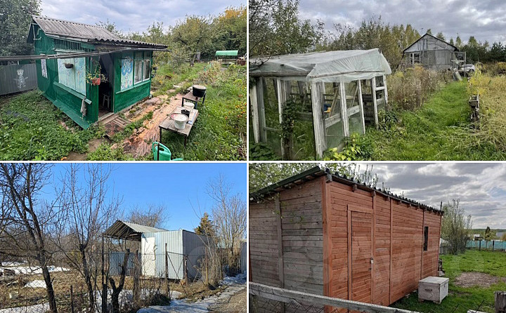 Дача за копейки: почему зумеры скупают старые участки и что можно купить в Туле за полмиллиона?