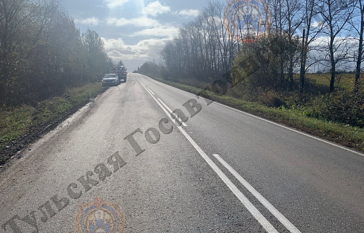 В Новомосковском районе водитель автомобиля «ВАЗ-2110» погиб на месте ДТП