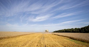 Кадры в растениеводстве: число вакансий в 2025 года увеличилось вдвое, самые востребованные специалисты — агрономы