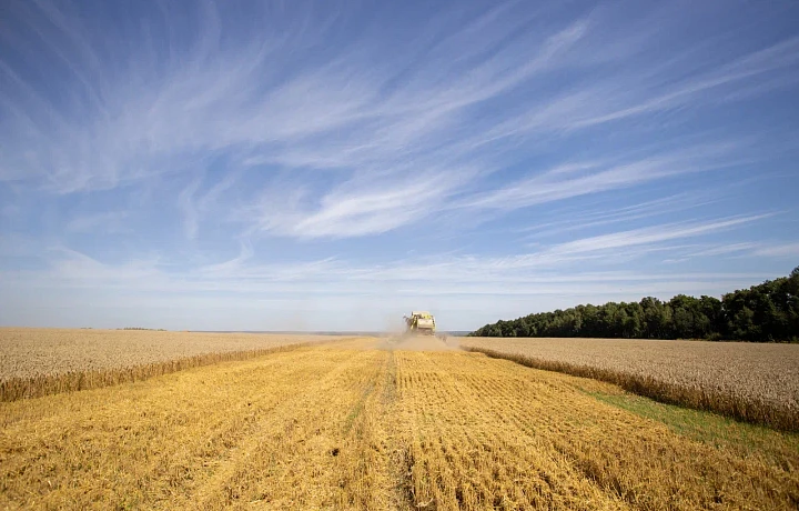 Кадры в растениеводстве: число вакансий в 2025 года увеличилось вдвое, самые востребованные специалисты — агрономы