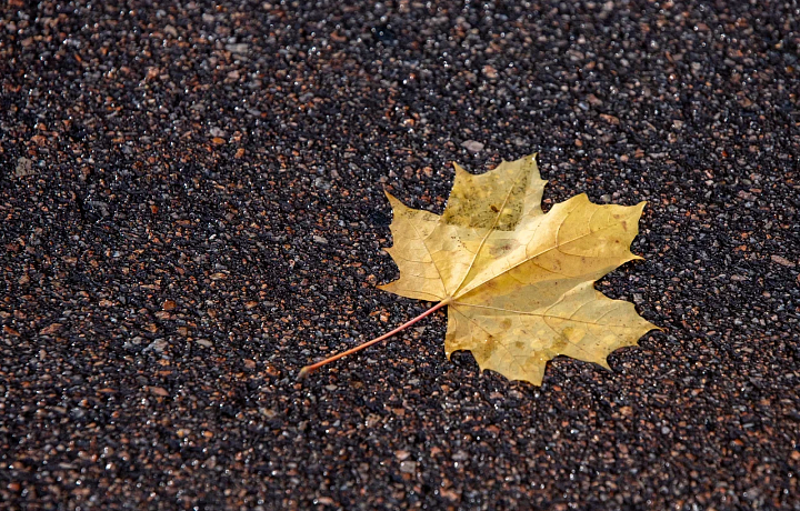 8 ноября Тулу ждет пасмурная погода, дожди и +5 градусов тепла
