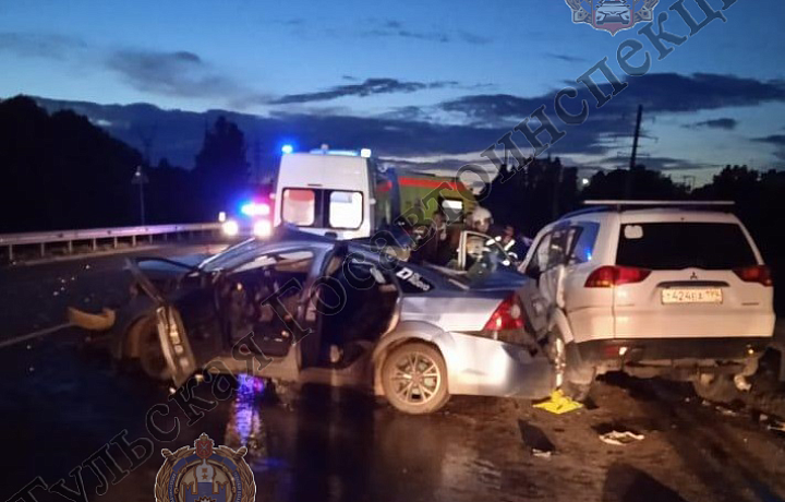 В Ленинском районе Тулы водитель Ford Focus сбил лису, а после врезался в Mitsubishi: пострадали три человека