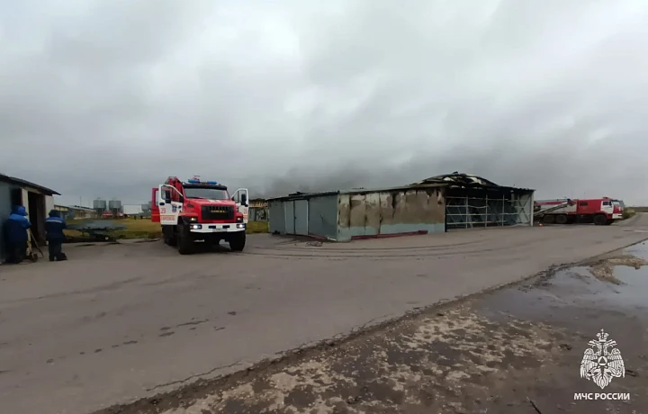 Спасатели потушили пожар на «Воловском бройлере» в Тульской области