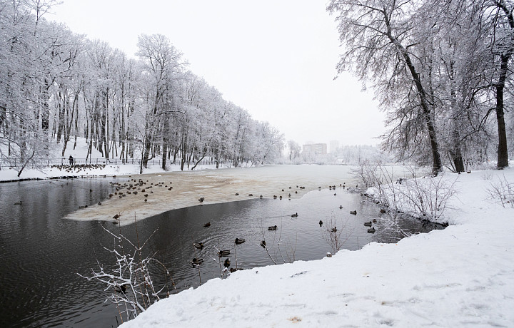 Выпадет больше снега, ожидаются морозы: синоптики рассказали, чего жителям центральной России ожидать от предстоящей зимы