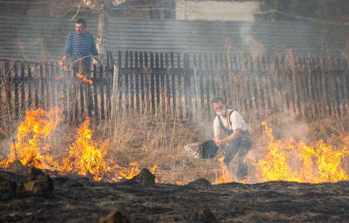 Один пожар и два ДТП произошли в Тульской области за сутки