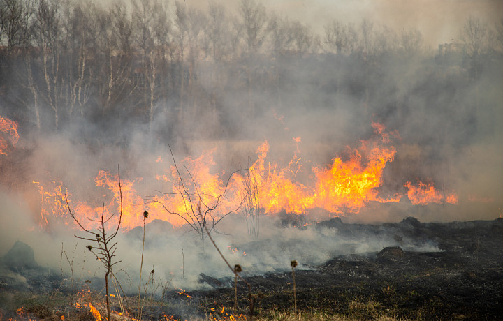 В Тульской области снят особый противопожарный режим