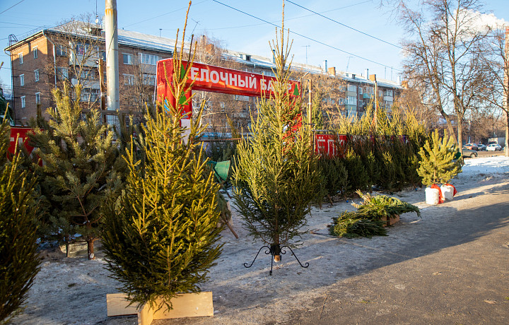 Ёлочные базары откроются в Туле 20 декабря