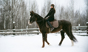 «На лошадке Иго-го я скачу ого-го как быстро»: 6 мест в Туле и области, где можно пообщаться с символом наступающего года