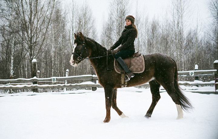 «На лошадке Иго-го я скачу ого-го как быстро»: 6 мест в Туле и области, где можно пообщаться с символом наступающего года
