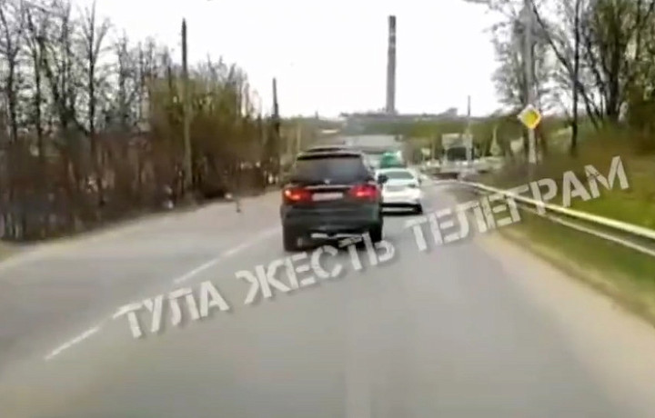 Лось чуть не попал под колеса машины на Веневском шоссе в Туле