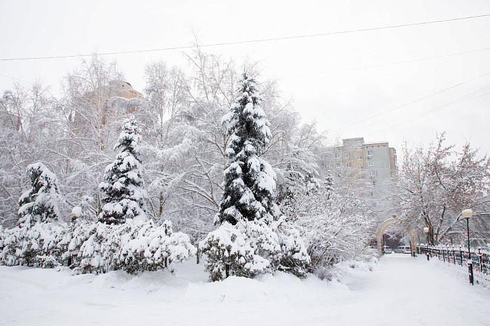 Тулу засыпало снегом: как в городе борются с последствиями стихии