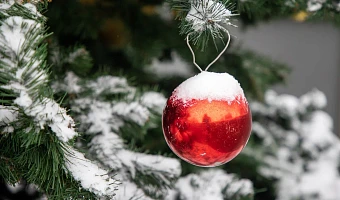 Письмо настоящему Деду Морозу: как написать, куда отправить и реально ли получить ответ и подарок?