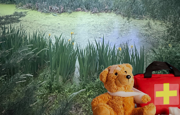 Ожоги, ссадины, укусы комаров, диарея: собираем аптечку на лето