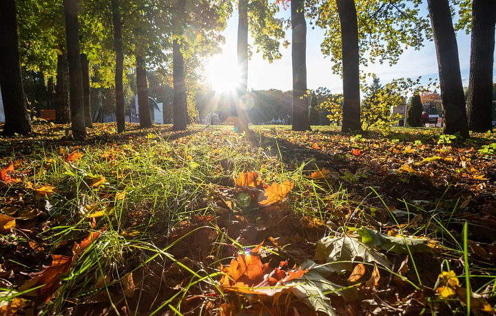 В Туле 28 сентября будет солнечно и потеплеет до +21 градуса