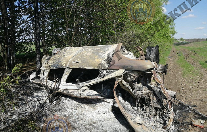 В Кимовском районе автомобиль Ford Focus загорелся после съезда в кювет: водитель погиб