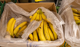 В России утвержден первый ГОСТ на бананы