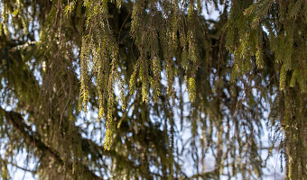 В Туле 21 марта продолжится магнитная буря и потеплеет до +8 градусов