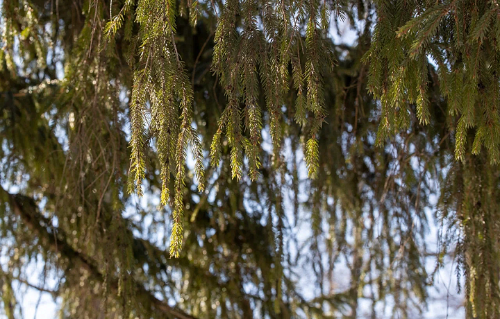 В Туле 21 марта продолжится магнитная буря и потеплеет до +8 градусов