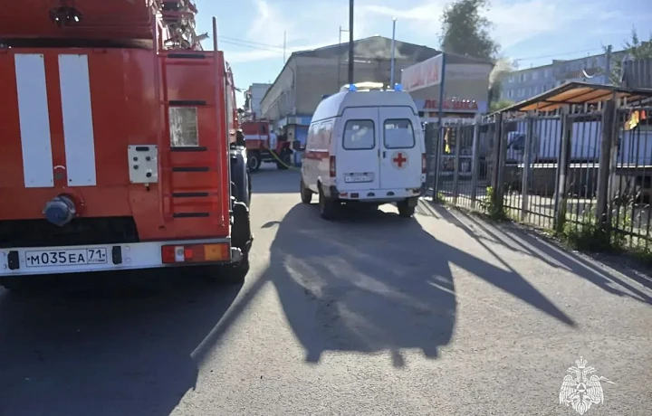 В Тульской области за сутки потушили пять пожаров
