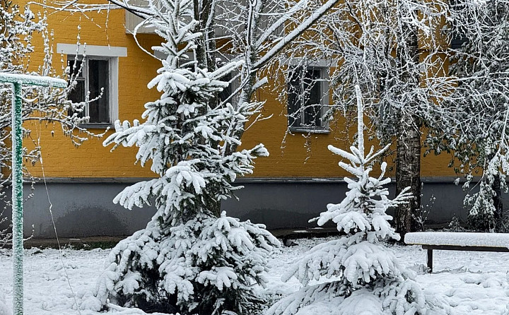 Мокрый снег с дождем в Тульской области может идти до 30 апреля