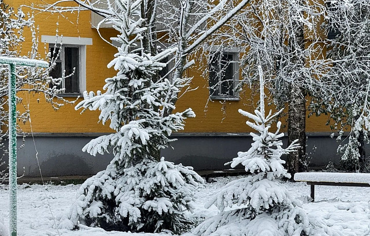 Мокрый снег с дождем в Тульской области может идти до 30 апреля