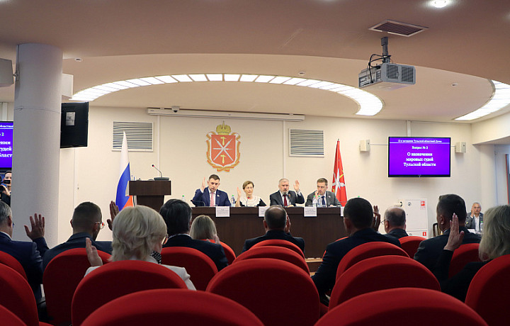 Депутаты Тульской областной Думы усовершенствовали систему молодежной политики и определили понятие «креативная индустрия»