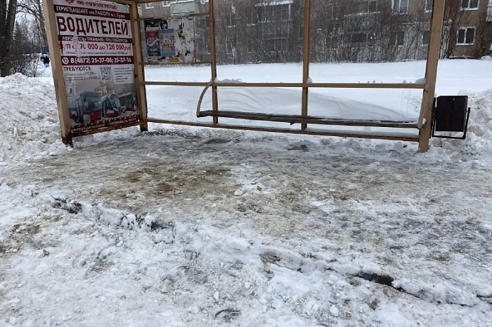 Туляки приняли участие в «Снежном субботнике»