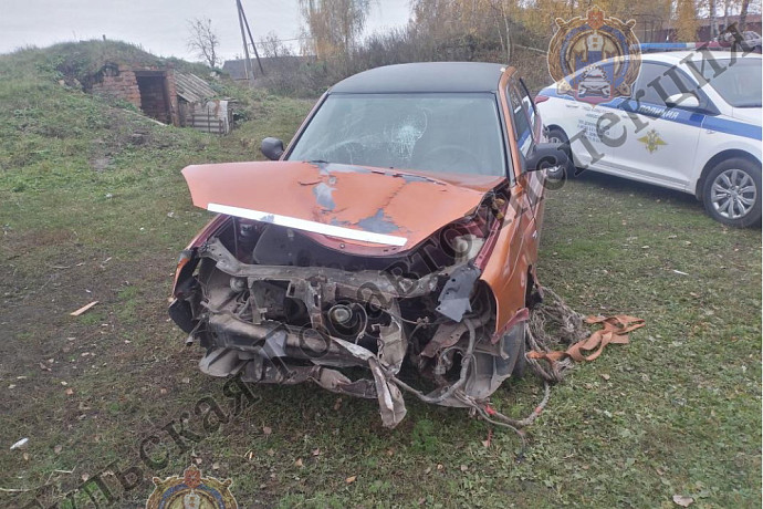 Водитель Lada без прав слетел в кювет и врезался в дерево в Кимовском районе