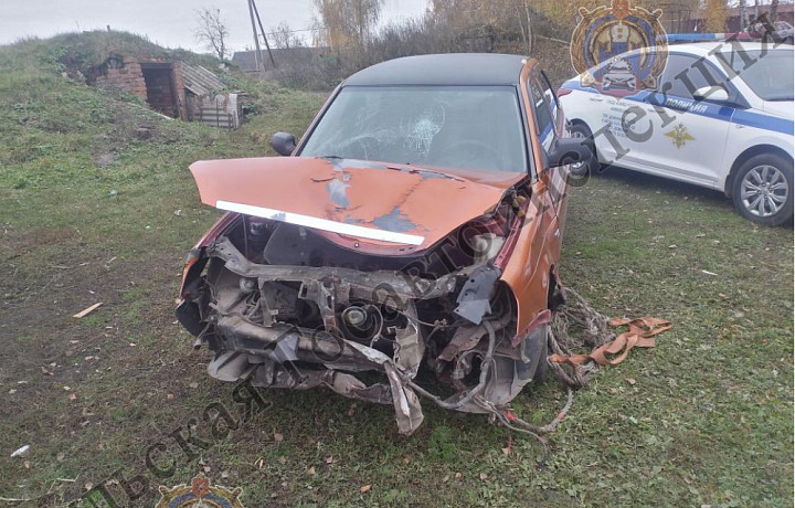 Водитель Lada без прав слетел в кювет и врезался в дерево в Кимовском районе