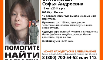 Пропавшая в Москве 12-летняя девочка может находиться в Тульской области