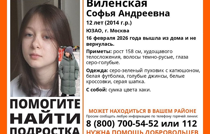 Пропавшая в Москве 12-летняя девочка может находиться в Тульской области