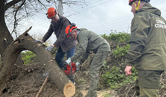 Губернатор Миляев о субботнике в Туле: Такой труд сплачивает и вдохновляет