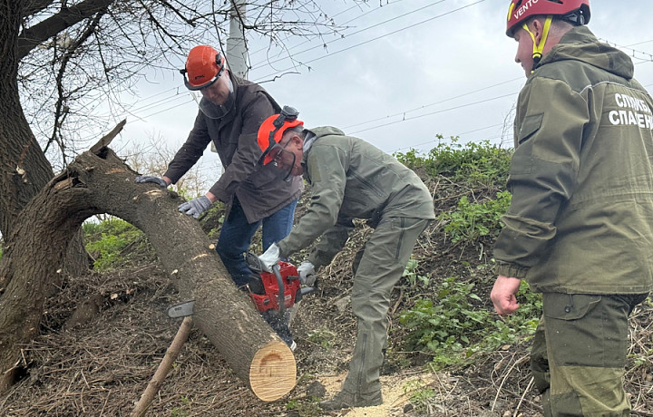 Губернатор Миляев о субботнике в Туле: Общий труд всегда сплачивает людей
