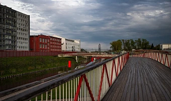 Метеопредупреждение из-за сильного ветра объявлено в Тульской области
