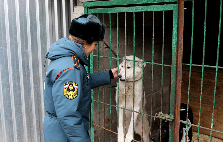 Тульские сотрудники МЧС помогли бездомным животным в приюте «Любимец»