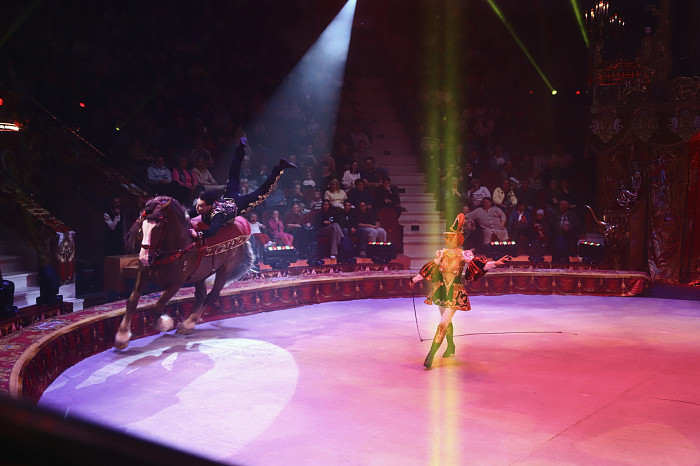 «Доводим каждую деталь до совершенства»: артисты «Королевского цирка» Гии Эрадзе рассказали, как рождается настоящее шоу