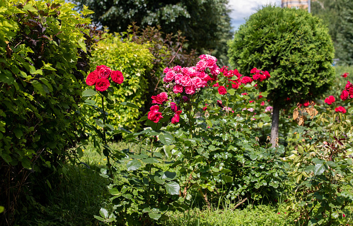 Секрет в правильно заложенной основе: ландшафтный дизайнер Юлия Осипова рассказала, как создать всесезонно красивый сад