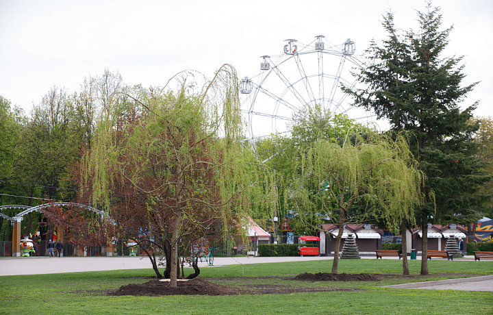 В Центральном, Пролетарском и Рогожинском парках проведут акарицидную обработку от клещей