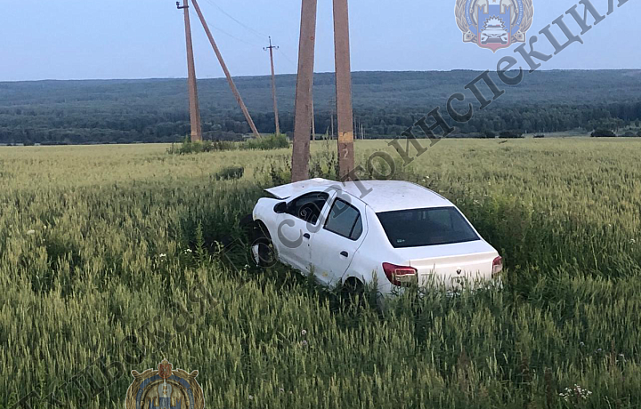 В Дубенском районе Renault Logan врезался в опору ЛЭП: два человека госпитализировали