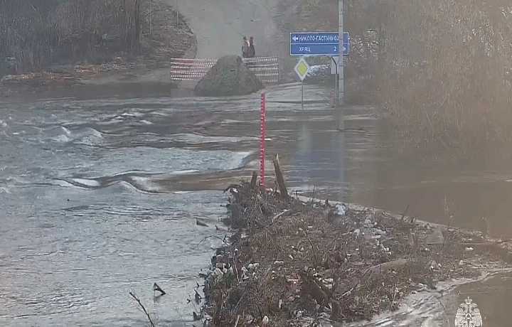 В Белевском, Суворовском и Одоеском районах Тульской области оказались подтоплены мосты