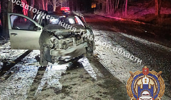 В Алексине пьяный водитель съехал с дороги и врезался в дерево
