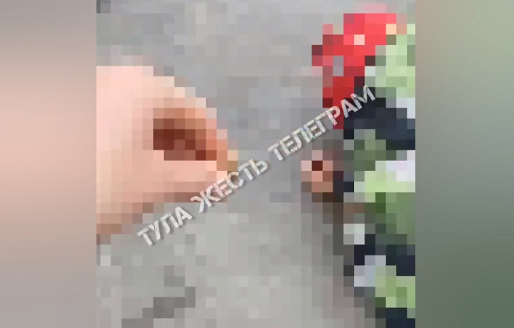 Полицейские ищут подростков, издевавшихся над ребенком в Щекине