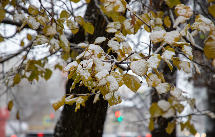 На выходных в Тульскую область придут морозы