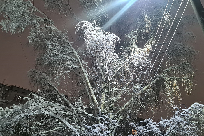 Тула утонула в снегу утром 14 декабря