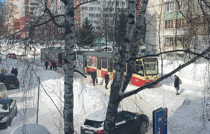 Туляки приняли участие в «Снежном субботнике»