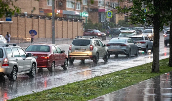 Туляков 30 мая ждут дожди и потепление до +12 градусов