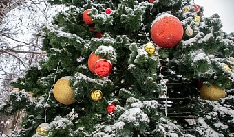 Новогодние мероприятия в Тульской области отменяют из-за холодов